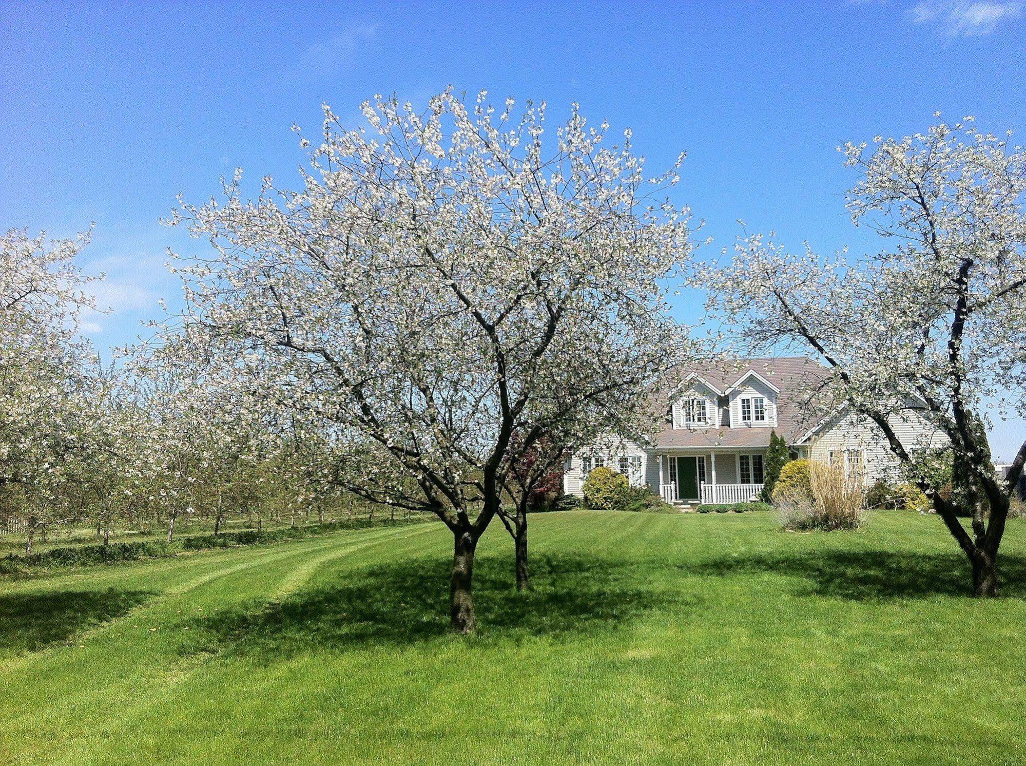 요르단 The Orchard Croft Boutique Country Retreat B&B 외부 사진